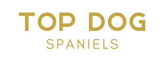 Top Dog Spaniels